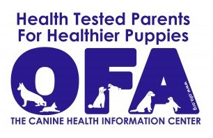 OFA Health tested Parents for healthier puppies