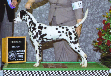 Snowood Dakota Ariana Snowood Dakota Ariana