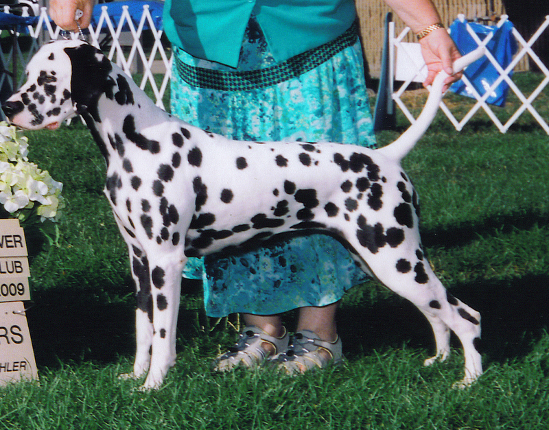 CH Crystal CH Crystal