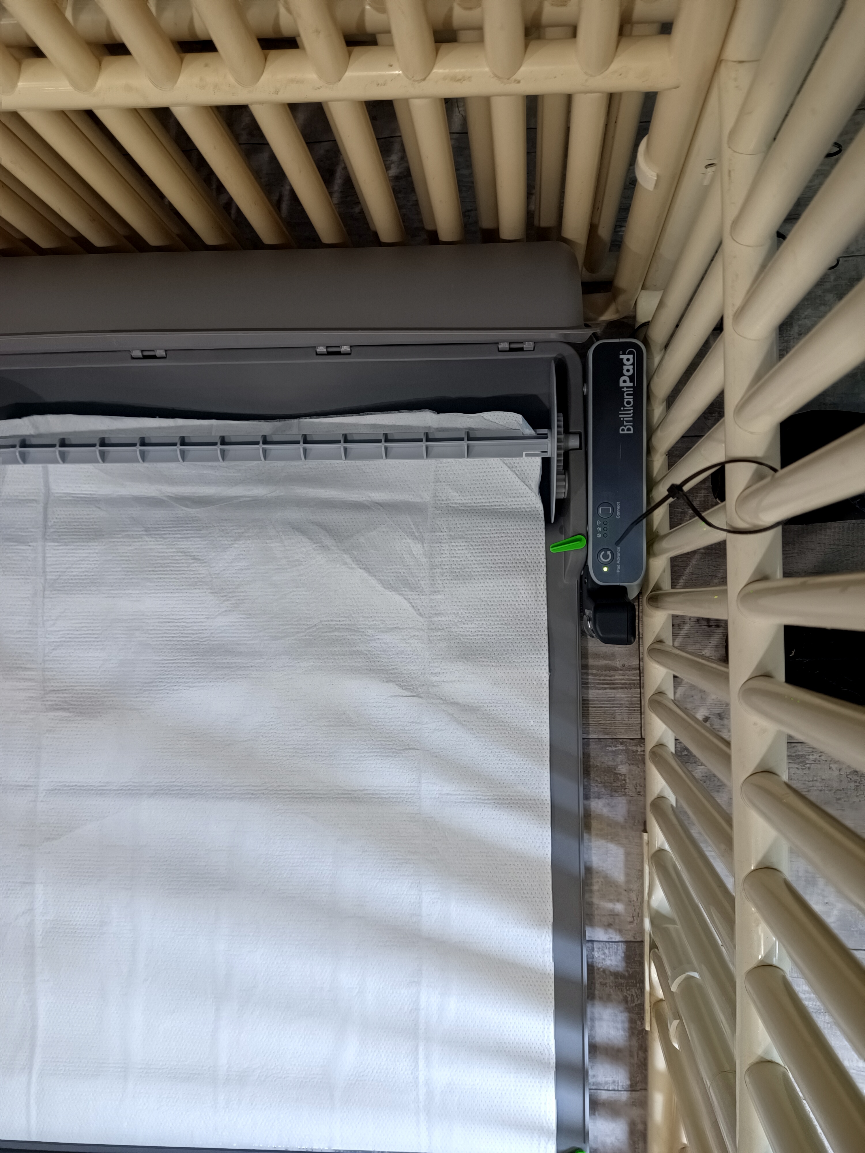 In place in the puppy pen In place in the puppy pen