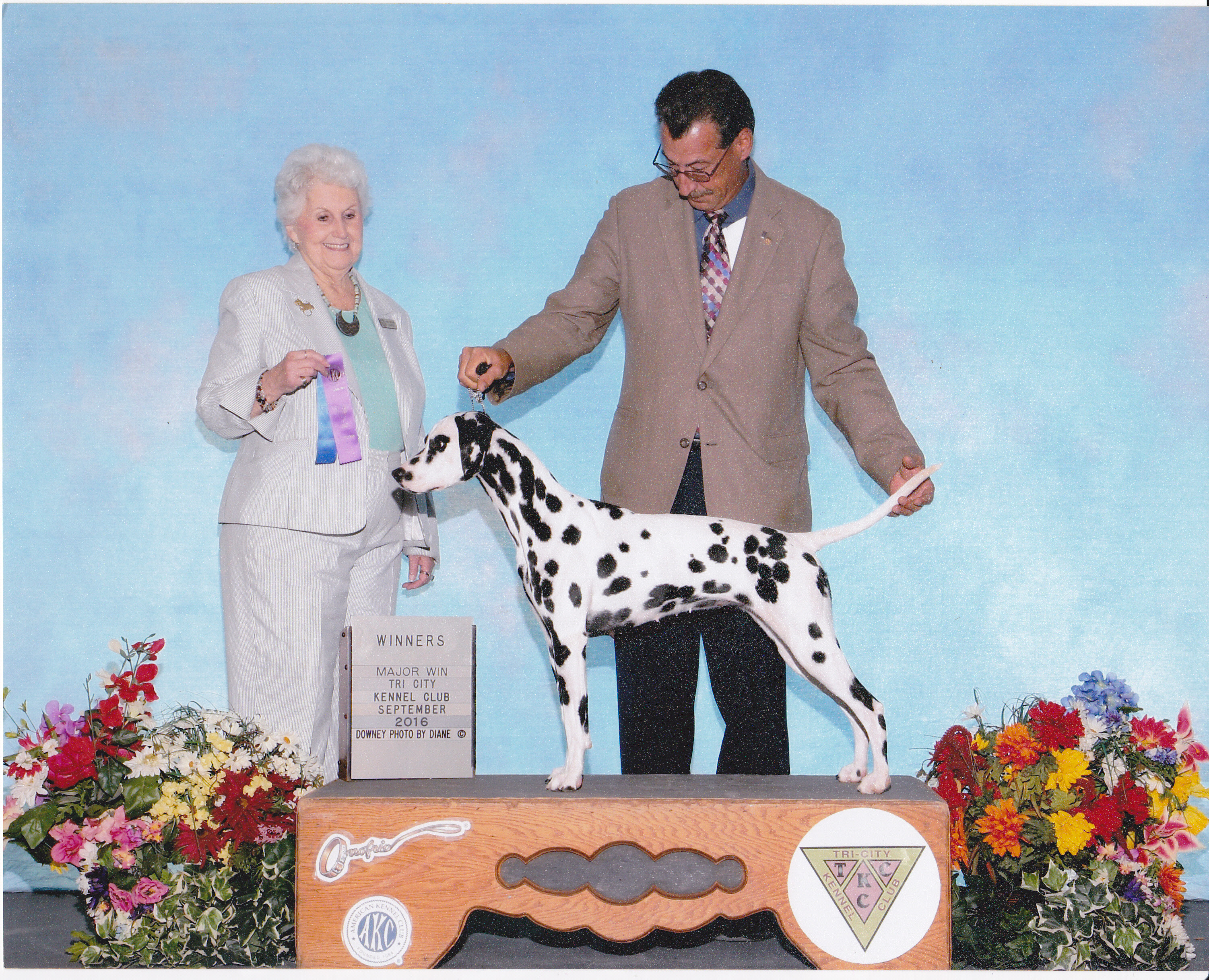 CH Snowood Crystal Blue Pearl CH Snowood Crystal Blue Pearl