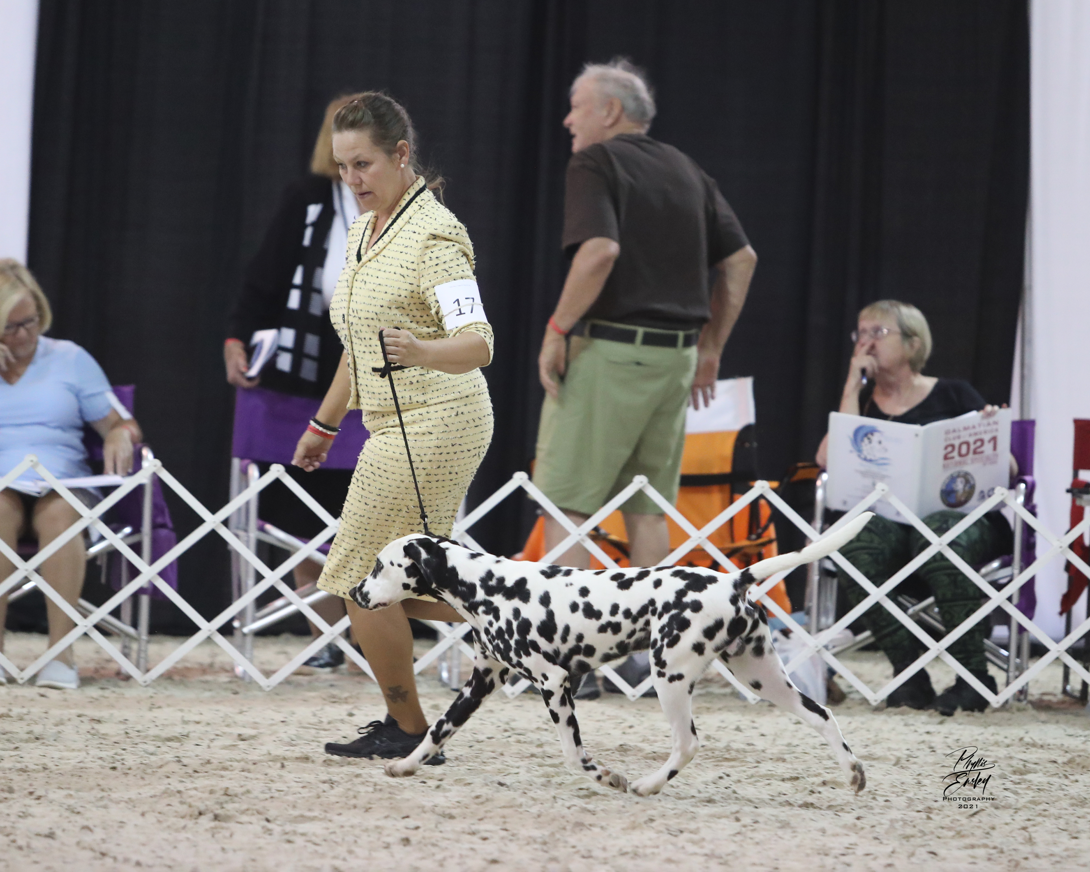 LIam St Louis June 2021 LIam St Louis June 2021