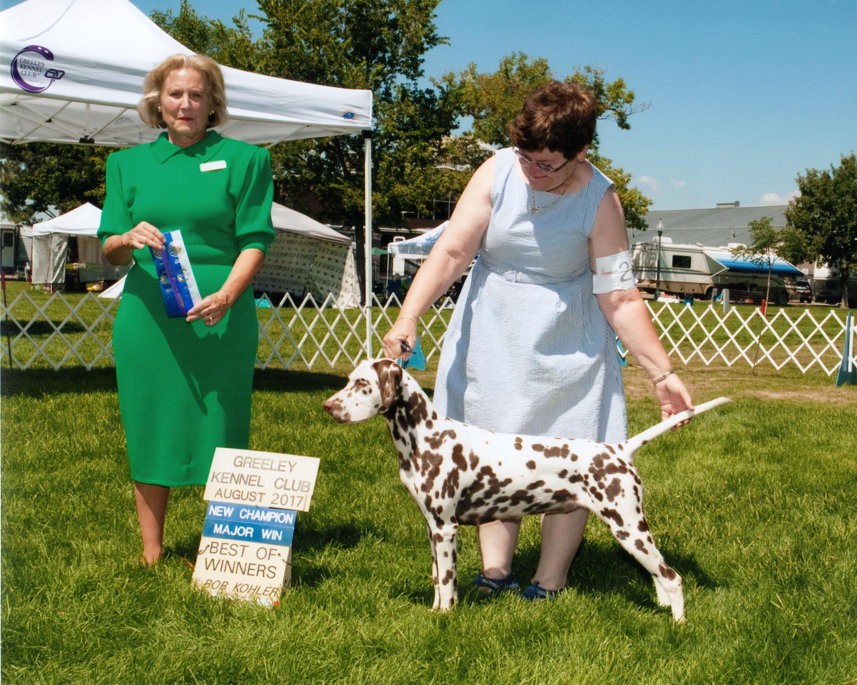 CH Snowood Dakota LIttle Red Riding Hood CH Snowood Dakota LIttle Red Riding Hood