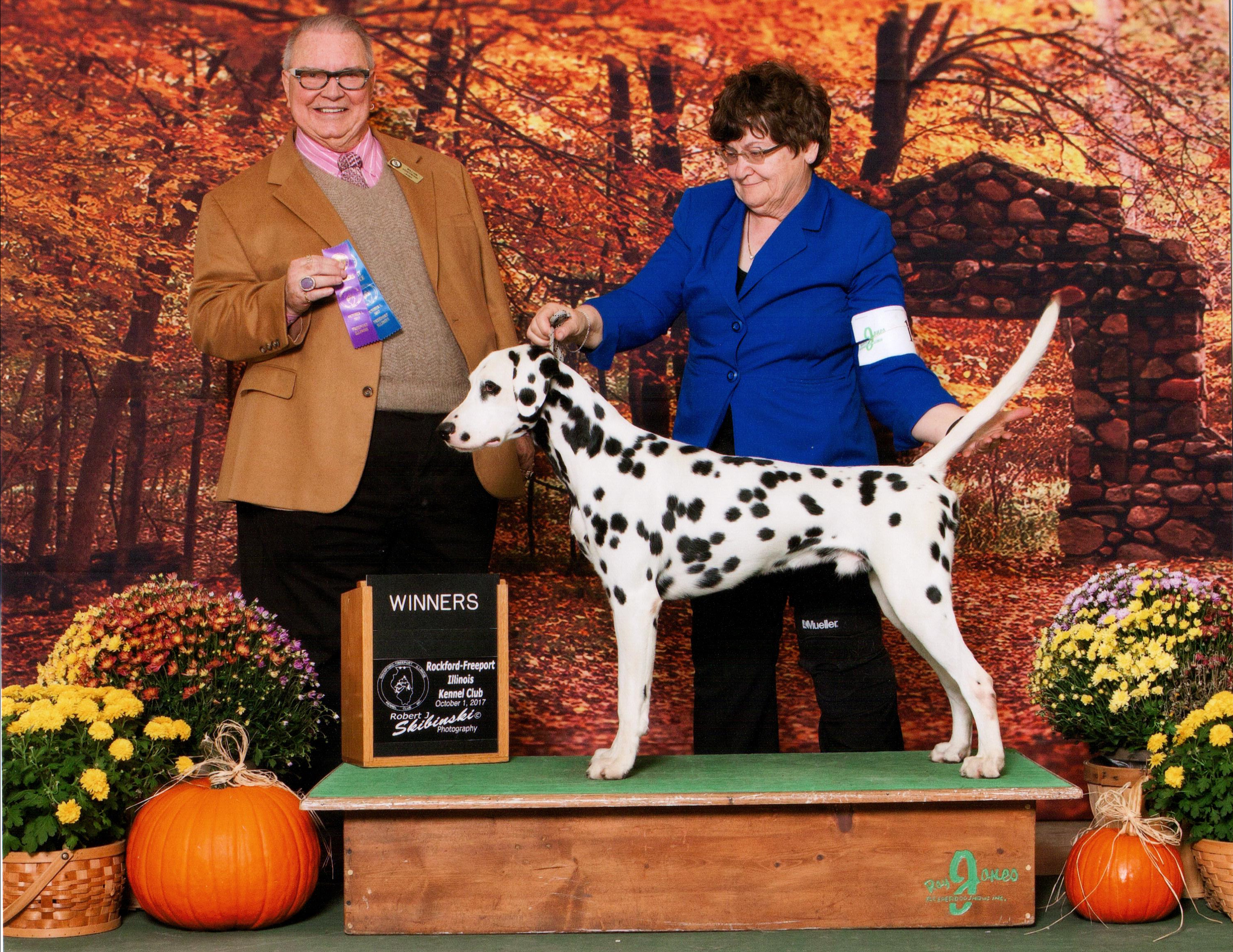 Tom Major Win Freeport, IL 2017 Tom Major Win Freeport, IL 2017