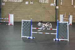 NetObjects Web Design Placeholder