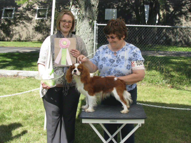 Gator (Swedish Import) Gator (Swedish Import)